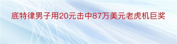 底特律男子用20元击中87万美元老虎机巨奖