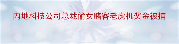 内地科技公司总裁偷女赌客老虎机奖金被捕