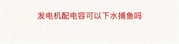 发电机配电容可以下水捕鱼吗