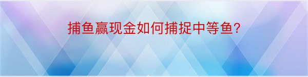 捕鱼赢现金如何捕捉中等鱼？